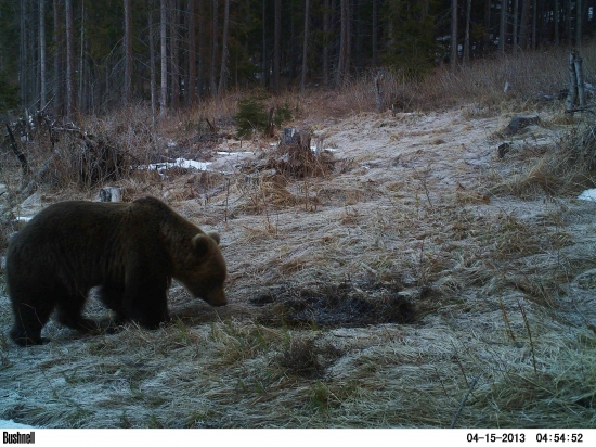 Generál na jarnej revízii.