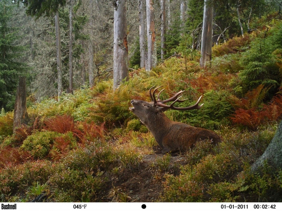 Farebné oúúúúúh.