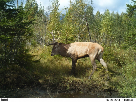 Dlhoročný inventár lesa?