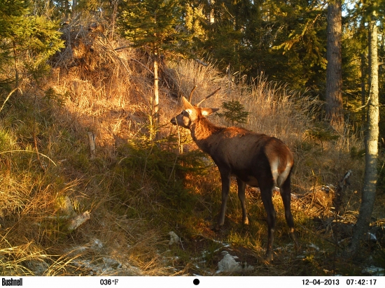 Na rannom slniečku.