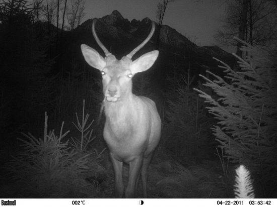 Napichnuté Tatry :)