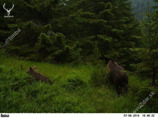 Jedináčik s mamčou.