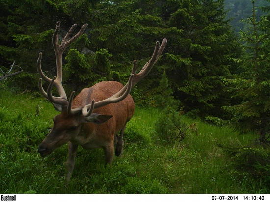 S čiernymi pasažiermi.