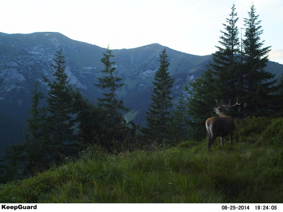 Večerné óóóh do doliny.