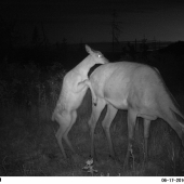 Podarený synáčik.