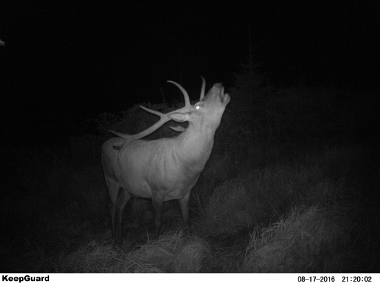 Tohtoročný štartér.