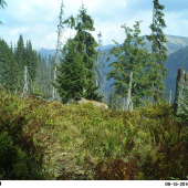 Septembrový wildlife.