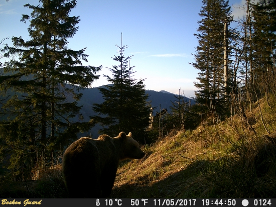 Večerné slniečko.