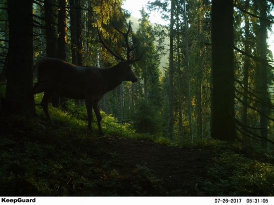 Z najkrajších miest.....