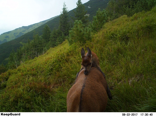 Maminka, ja ťa tááák ľúbim!!!