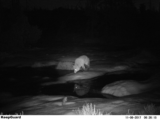 Prchavé priateľstvo.