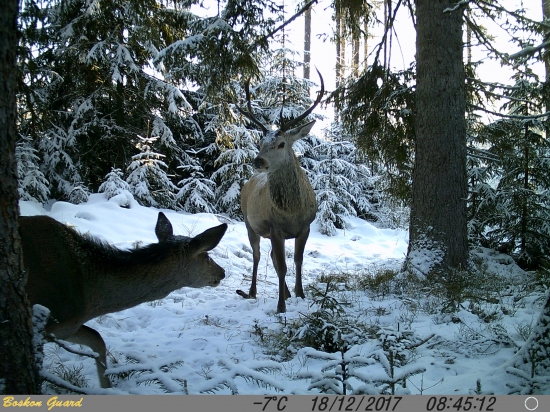 Môžem prešmyknúť?