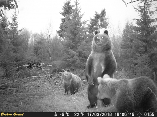 Parôžkári v akcii.