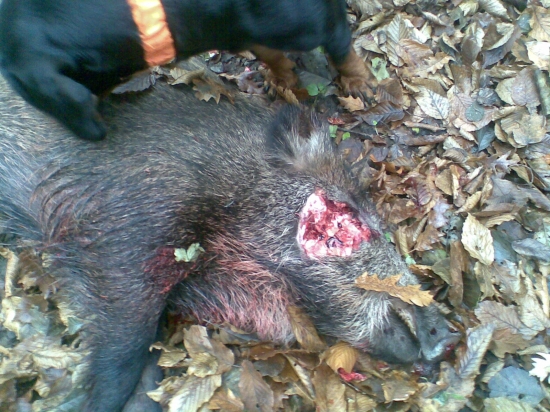 Ked sa mi chce privonat