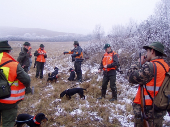 Uš sa nevjeme dočkať