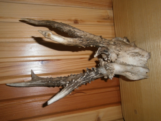 NA DNESNEJ PRECHADZKE