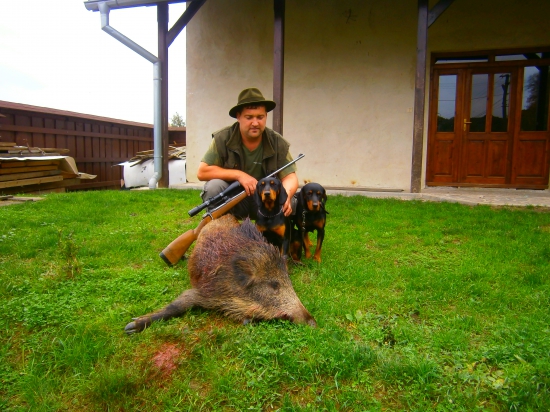 z dnesnej prechadzky