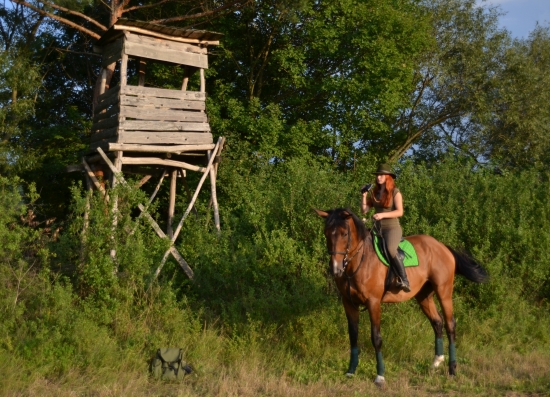 kombinácia mojich srdcoviek :)
