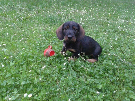 Aj ja mám Horalečku :)