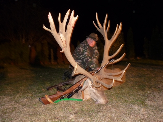 Kapitalny zlaty jelen