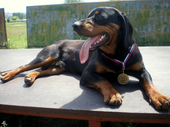 FREDY z Cerníka, 9 mes. CAJC