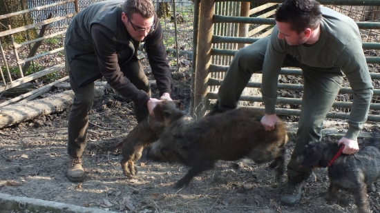 Pokračovanie videa týždňa :)