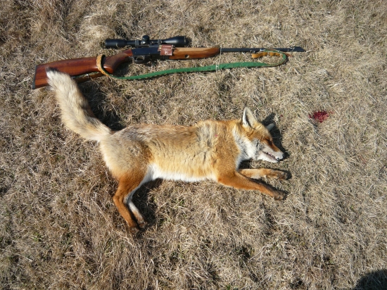 dnešný úlovok počas hľadania zhodov