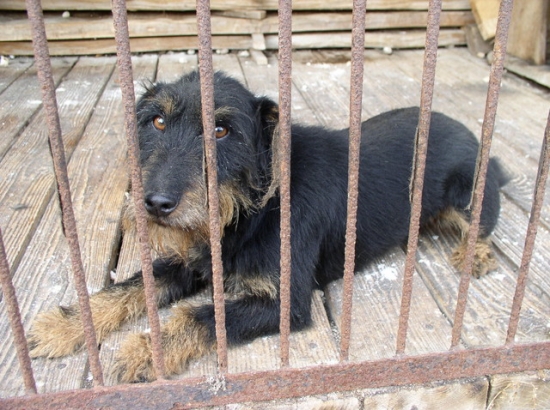 Mala spomienka na velkeho trhača :)