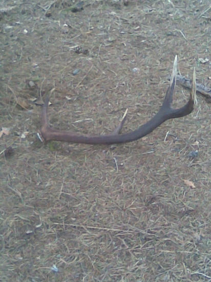 Dianin maly darcek k meninam