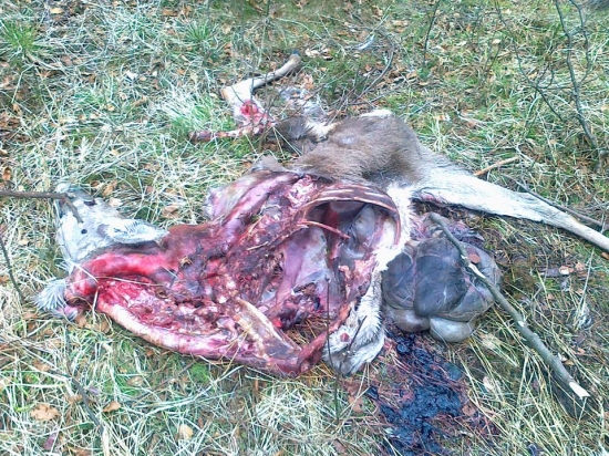 Hlad je zlý kamarát