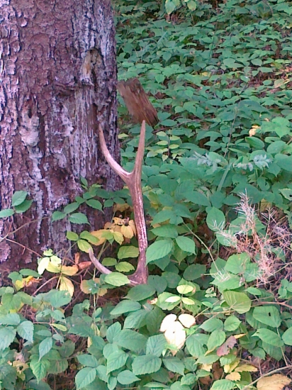 Ked som isiel po cesticke :)