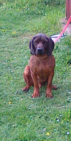 Bady zo Zimnej Doliny