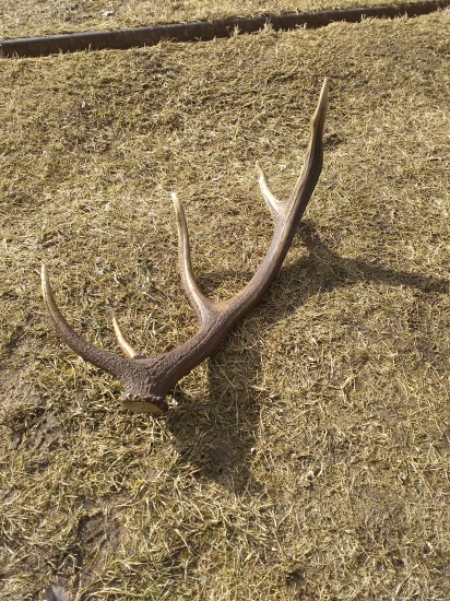 Na začiatok postačí