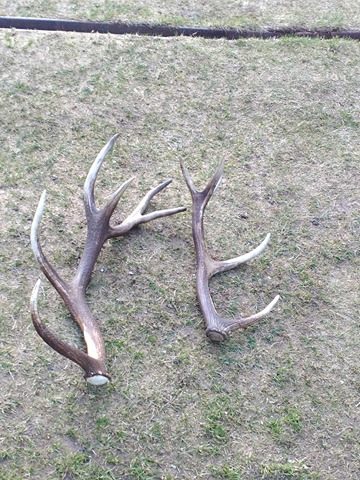 Pára to asi nebude :)