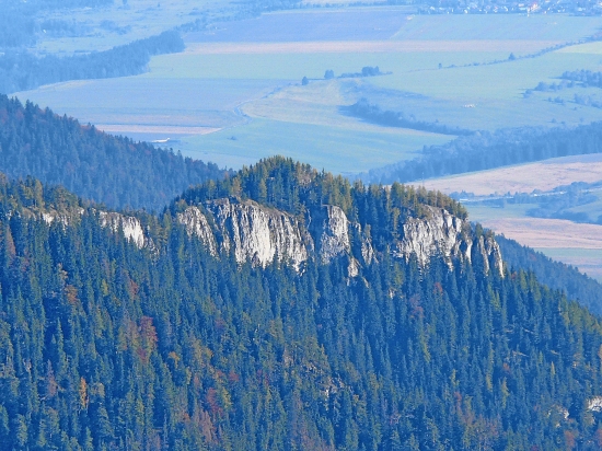 Radovica