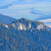 Radovica