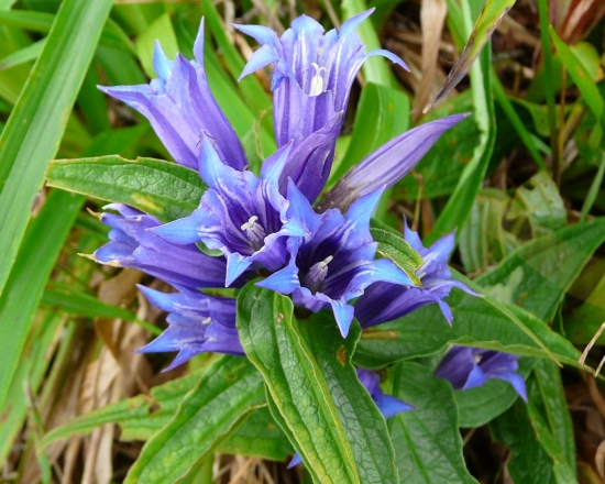 krása naších hôr