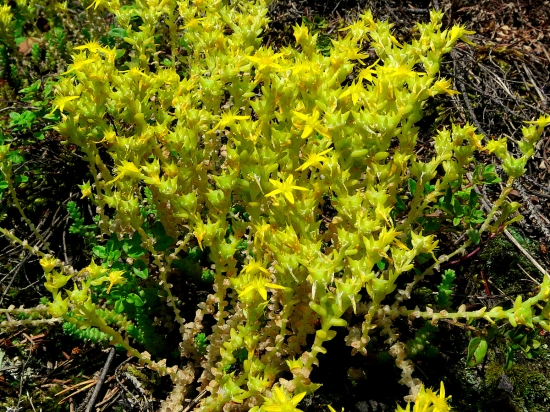 ako sa volá?naozaj nik to nepozná