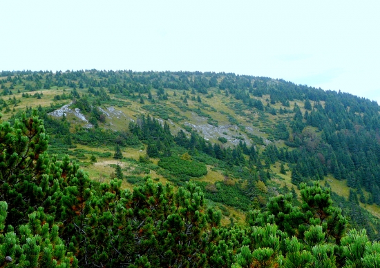 cesta na Veľký Bok