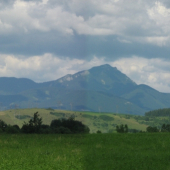 Choč
