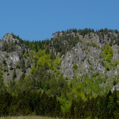 Michalovo- Liptove