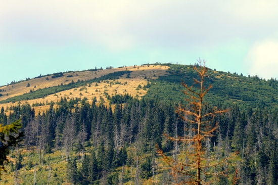 Lajštroch