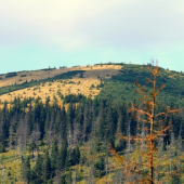 Lajštroch