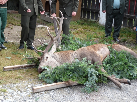 sv.Hubert -Pribiliná