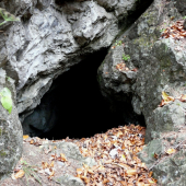 príroda- podzemné skríše