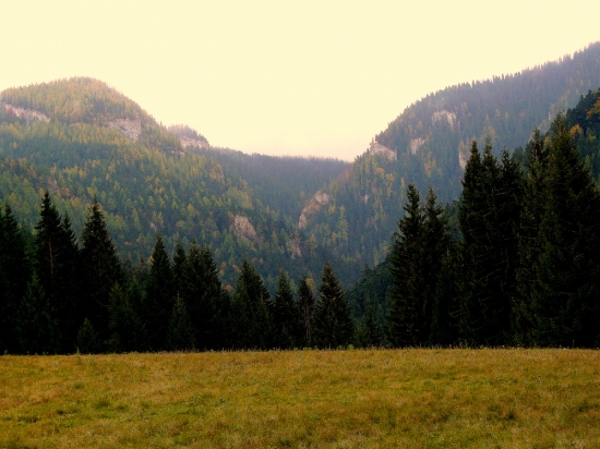 tiesňava