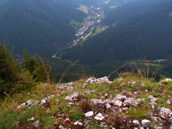 Pohľad