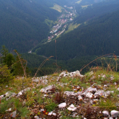 Pohľad