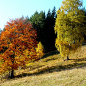 Jeseň maluje
