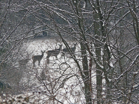 už zasa